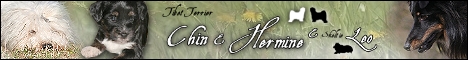 neusterbanner